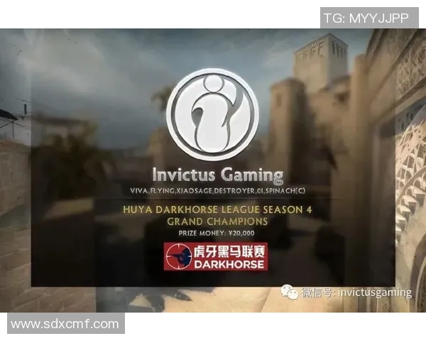 CSGO专题深度解析IG战队的崛起与实力展现