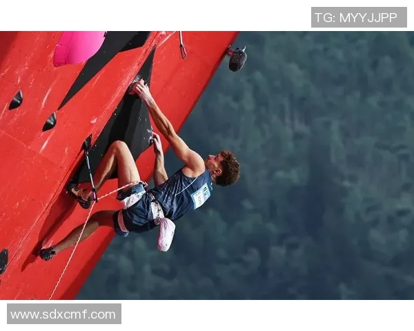 杭州攀岩队在世界攀岩锦标赛中的节奏表现与技术分析