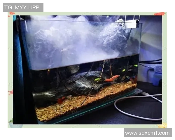 滑板新手必看：从零基础到节奏掌握的全面指南与技巧分享