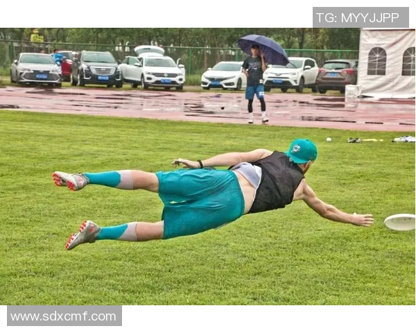 深圳飞盘队强势登顶最新飞盘实力排行榜前十名全解析