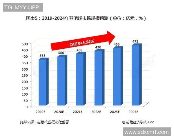 武汉乒乓球队意识表现的数据分析与提升策略探讨
