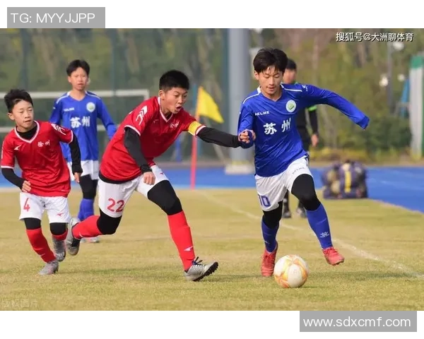 重庆羽毛球队灵活性变革引发热议助力竞技水平提升与青训发展 重庆羽毛球队灵活性变革引发热议助力竞技水平提升与青训发展